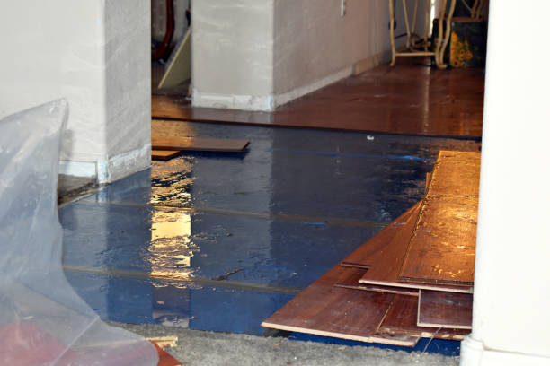 Professional Burst Pipe Cleanup technician working in Crofton, MD